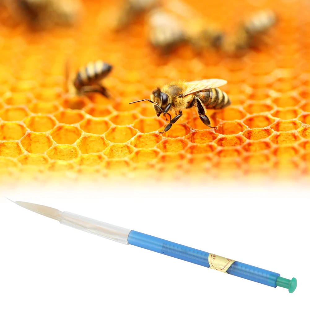 10 PCS Bee Grafting Retractable Beekeeping Tool for Queen   Rearing 