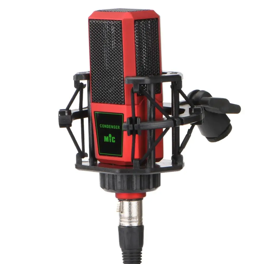 FREEBOSS CM 12 48 В фантомное питание трансляция Поющая студия запись хор чат вокал