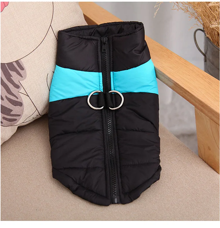 11637974198_609020808