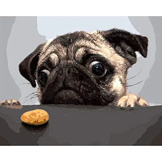 

Paint by Numbers Kit DIY coloring on Canvas Hand Painted for Beginner, Painting Lovers - Dogs Series Set Animal Painting