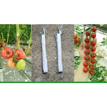 

1-10 pcs Vegetables Clamp Anti-crush Hooks Tomato Support J Hook Tomato Plant Holder Binder