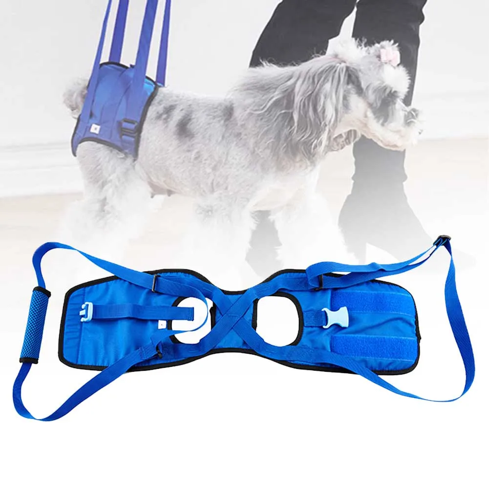 

Walking Rehabilitation Exercise Support Disabled Dog Carrying Training Assist Harness Elastic Mat Belt Outdoor Hind Limb