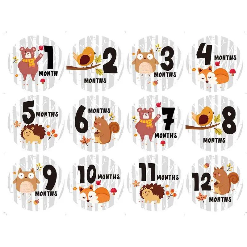 

Baby Pregnant Women Fun Cartoon Monthly Photograph Milestone Sticker Month 1-12 Baby First Year Month Age Growth Milestones