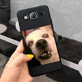 Case- c21