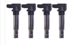 

4x Ignition Coil 036905715F for Beetle Jetta Polo Tiguan A1 A3 Altea Ibiza Leon