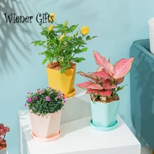 Plastic Succulent Flowerpot Modern Small Gallon Planter INS Style Nordic Simple Imitation Plastic Flower Pot Home Decoration