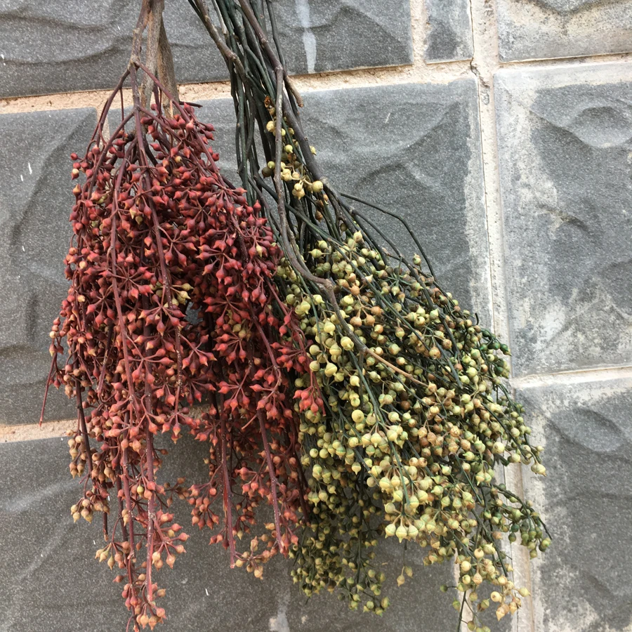 

135g Preserved Millet Branch,Nature Preserved Eucalyptus Fruit,DIY Eternell Flower Floral ,Wedding Home Decor,Eternelle Rose