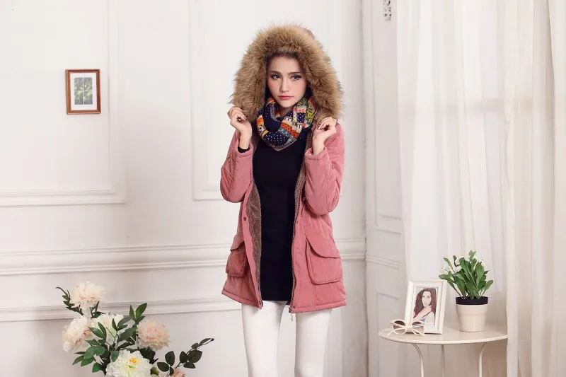 AliExpress женское платье, зима, стиль, Европа и Америка, одежда с хлопковой подкладкой, плюс бархат, с капюшоном, средней длины