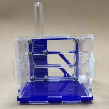 

Acrylic Ant Nest Ant Workshop Small Tribe Gypsum Nest Concrete Nest Test Tube Nest Insect Box