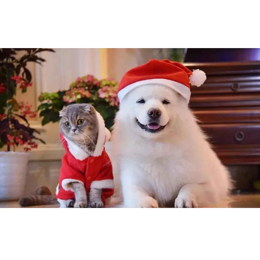 Christmas Party Magic Swing Party Electric Hat Red& White Xmas Cap Santa Claus Gift Merry Christmas Hats Dancing Caps Pets Dec