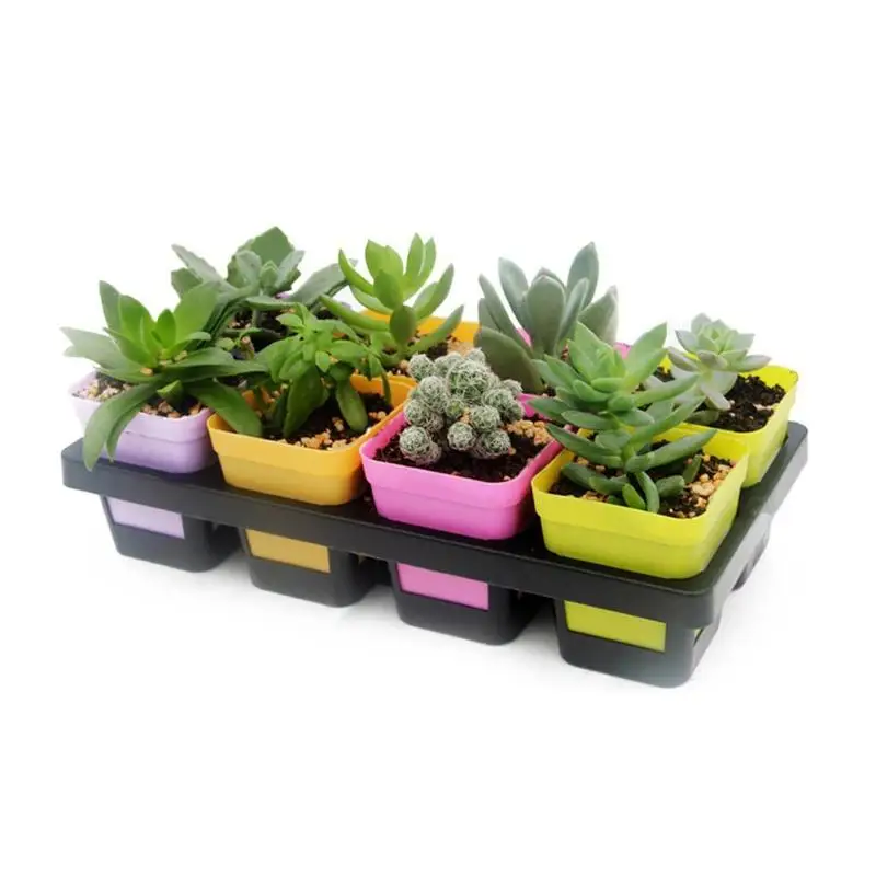 

8 Cells Plastic Flowerpot Plant Pot Grid Succulant Planter Seed Tray for Cactus Succulant Bean Sprouts Seedlings Small Flowers