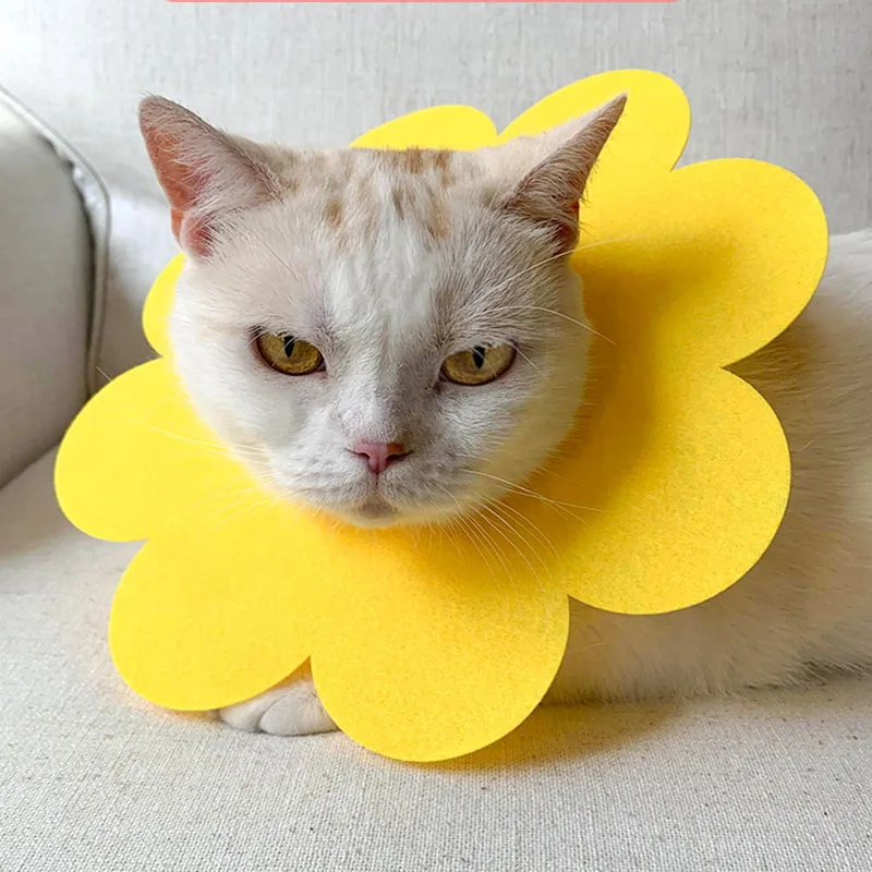 

@HE 5PC Pet Sun Flower Elizabeth Circle Cat Anti-Bite Anti-Smashing Sun Flower Saliva Towel Felt Cloth Pet Collar