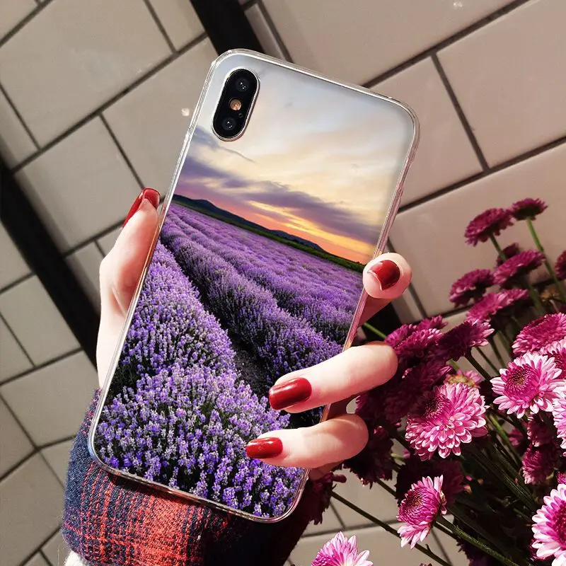 Simple lavender Purple flowers