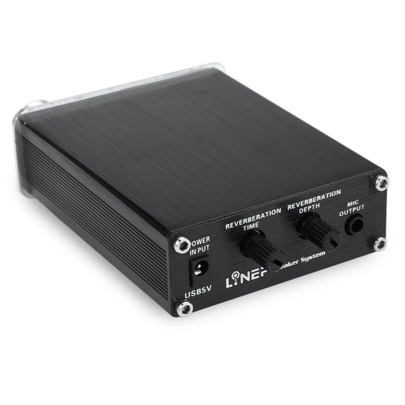 ABKT-Lynepauaio Moving-Coil Предварительный усилитель микрофона, двухканальный микрофон, который подходит с функцией реверберации