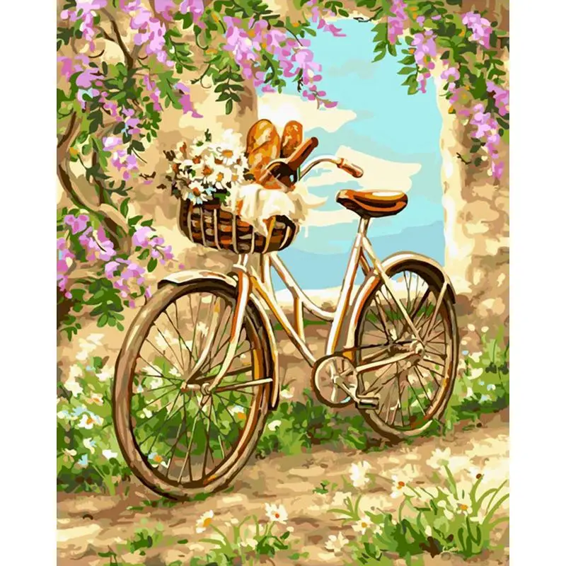 

SELILALI Picture By Numbers Kits For Adults Flower And Bike Landscape Oil Photo By Number Diy Framed Oil Painting By Number