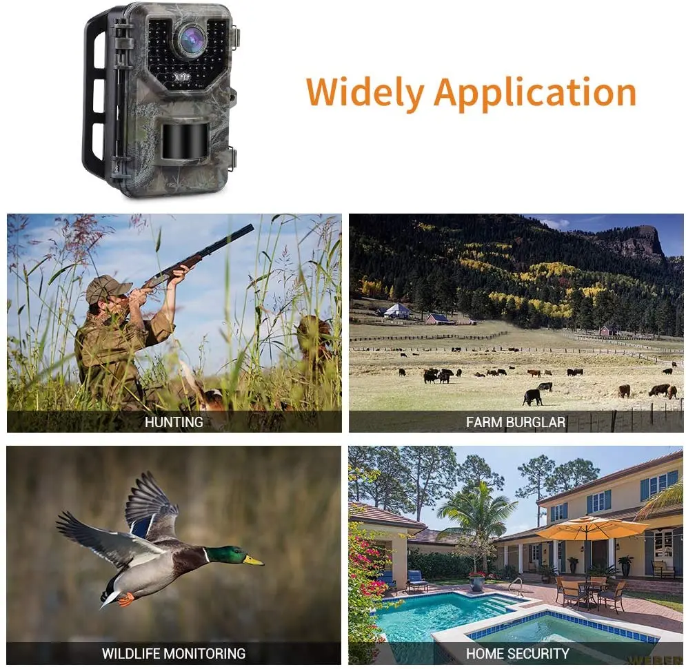 71jTABRs2AL._AC_SL1000_