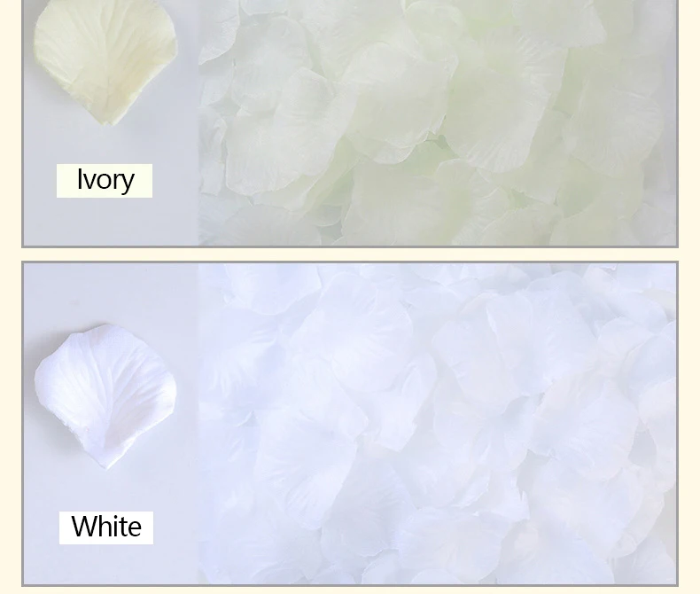 11768135770_405463345