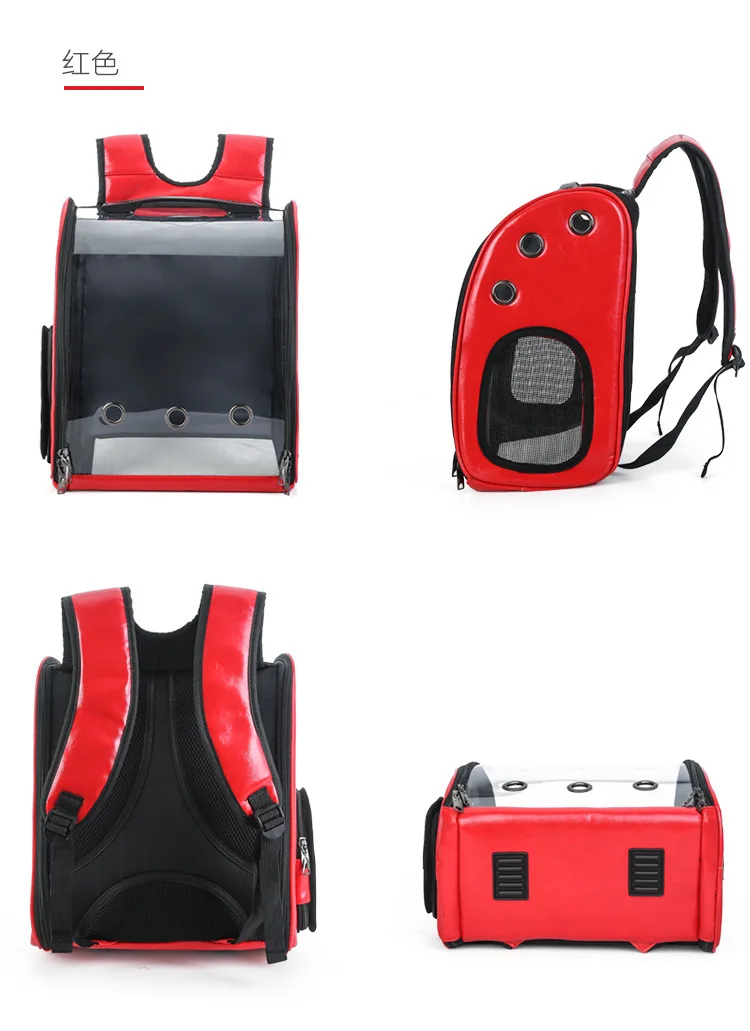 12545182291_345777210