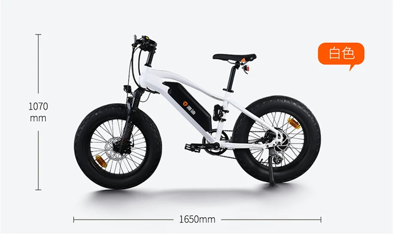 Специализируется на 20-дюймовый 36v литий-ионный Электрический велосипед аккумулятор съемный Электрический горный велосипед