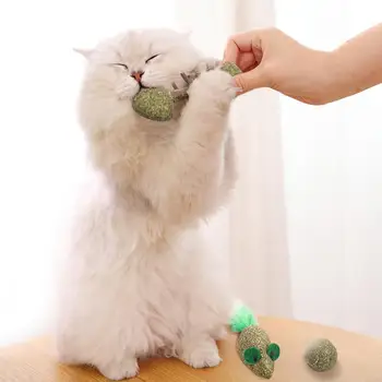 

Pet Cat Kitten Matatabi Fish Mouse Shape Ball Teaser Interactive Play Chew Toy