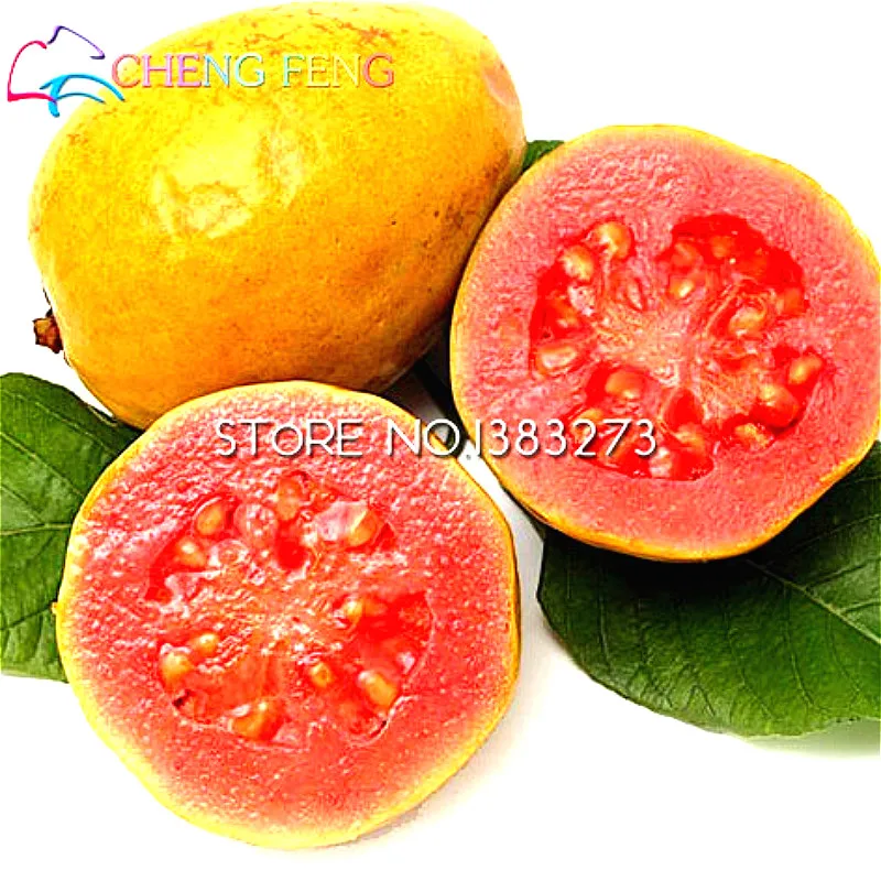 20 семян свежего сладкого красного гуава Psidium Guajava тайский розовый свежие большие фрукты Новые Домашние садовые растения Семена бонсай горшки