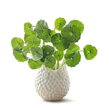 Простая белая керамическая ваза, гидропонный цветочный горшок, настольные цветочные горшки, бонсай, растение, кашпо, аксессуары для домашнего декора, растения, украшения