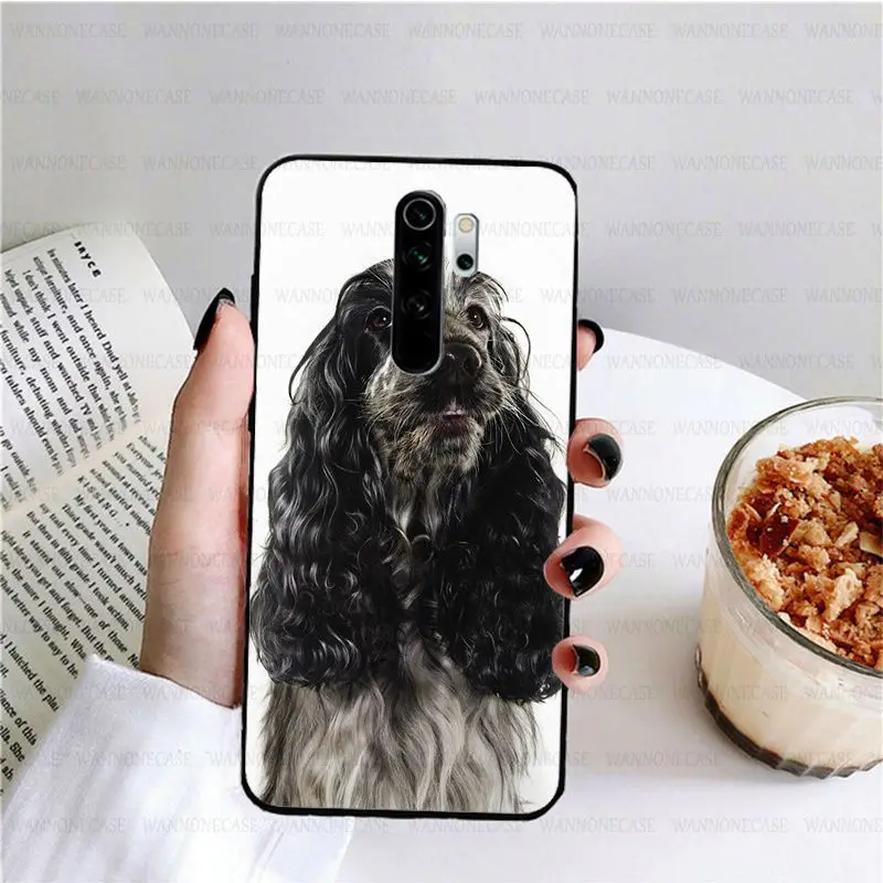 harper cocker spaniel hellip dog puppies