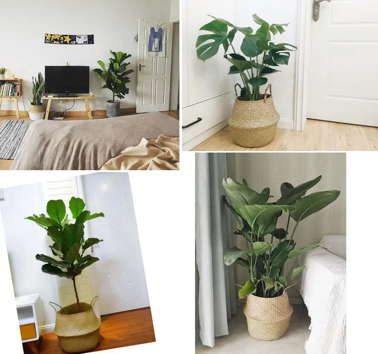 TB2I78FwHtlpuFjSspfXXXLUpXa_!!686301717