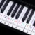 88/61 Key Color Piano Letter Notes Stickers Keyboard Hand Roll Piano Keyboard Eletronic Прозрачные Наклейки Нотация