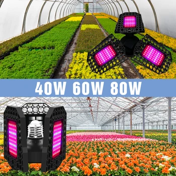 

Growing Lamp For Plants E27 Led Full Spectrum Grow Light 220V Phyto Lamp Led Hydroponics Light 40W 60W 80W Seeds Flower Lighting