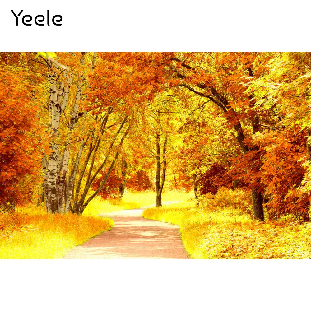 Осенний пейзаж Yeele фотосессия кленовый лес коридор детский портрет фотография