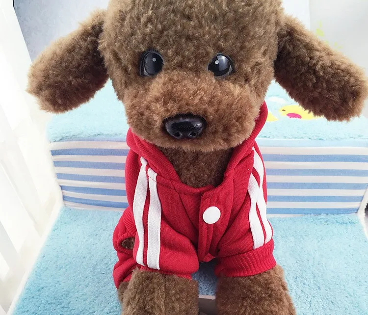 HTB1NdETLXXXXXX3XFXXq6xXFXXXR