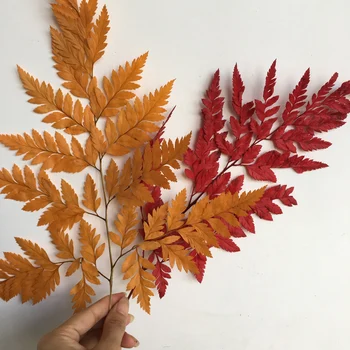 

9pcs 16-20cm Nature Fresh Dried Arachniodes Leaf,DIY Wedding Marriage Home Gift Box Decoration Eternell Flower Plant Decor