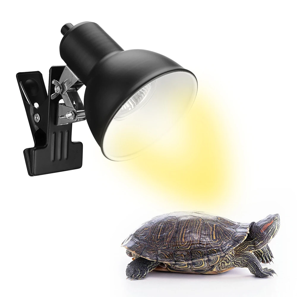 bijtend Minnaar Hertellen 25/50/75W Reptile Heat Lamp Schildpad Warmte Lamp Aquarium Aquarium E27  Lamp Licht Koesteren Lamp voor Reptielen Hagedis Schildpad - AliExpress  Huis & Tuin