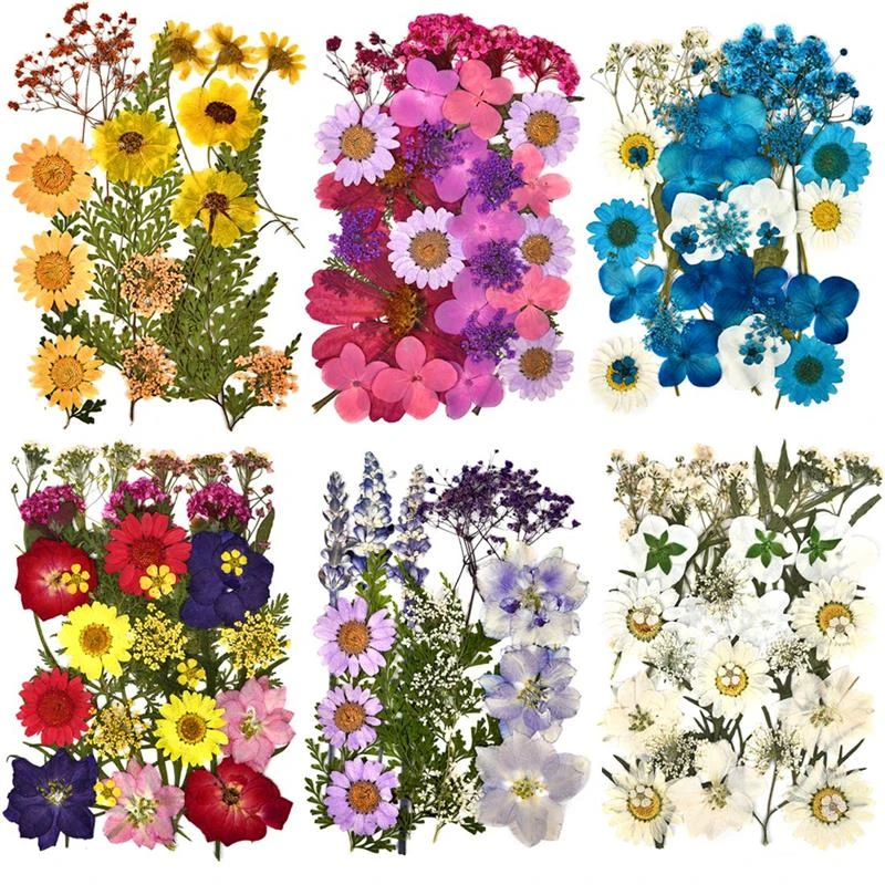 1 Pacote De Flores Secas Resina Uv Flor Natural Adesivos Beleza Seca  Decalque Para Diy Resina Epóxi Enchimento Jóias Decoração - Componentes P/  Joias - AliExpress