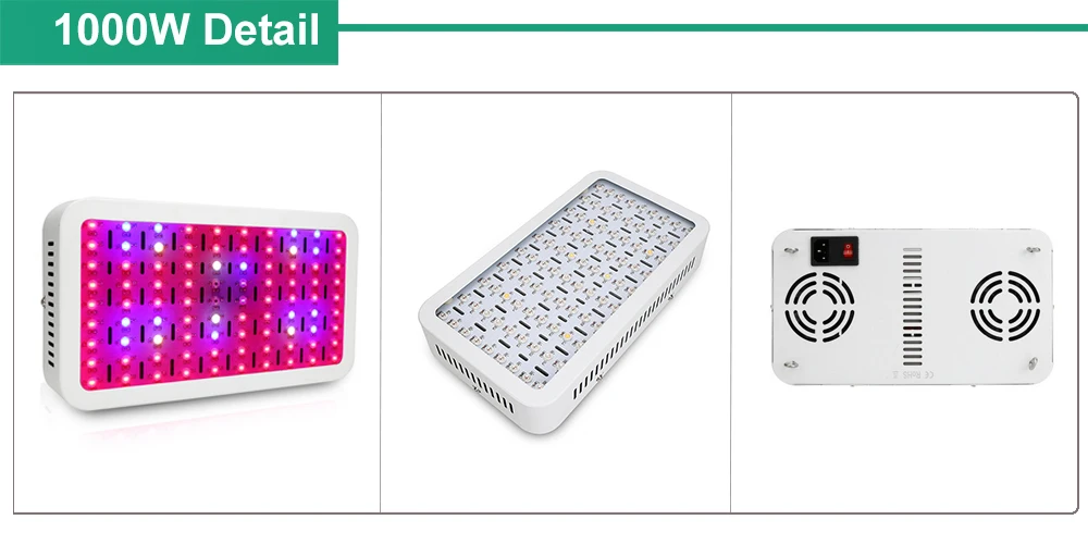 1000W DETAILS 01