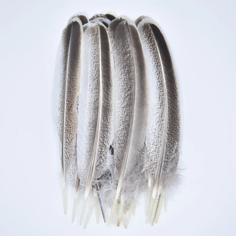 10 Piume D'Aquila Naturali Per Artigianato - Decorazioni Fai Da Te