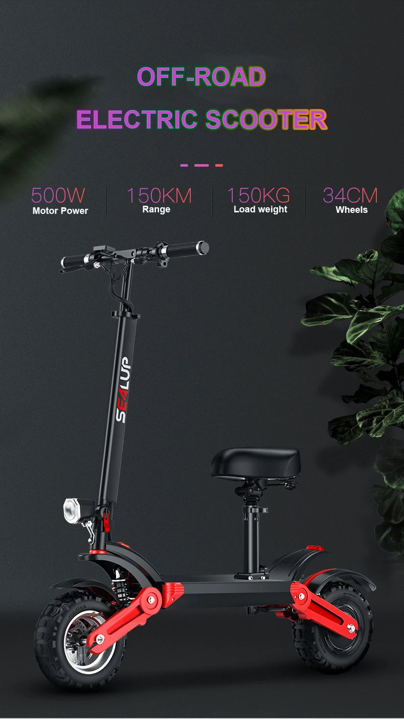 Foldable Electric Skateboard Two Wheels Electric Scooters Off Road Single Drive 500W 48V 35KMH Powerful Electric Bike (2)