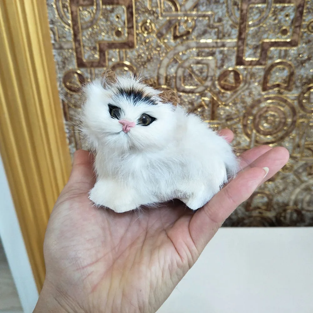 IMG20191129132601