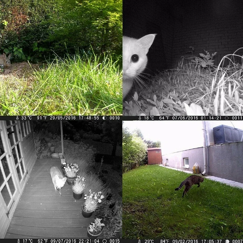 H982 камера слежения 20MP 4K 1080P ИК ночного видения охотничья камера наблюдения для дикой природы
