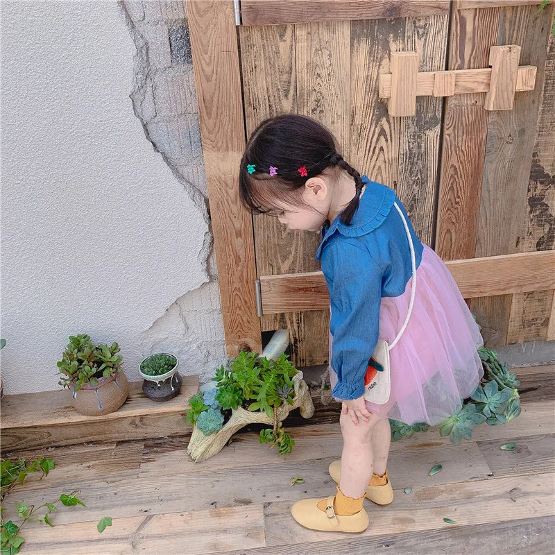 41 (5)