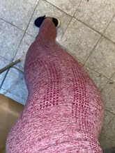 Conjunto de ropa de yoga sin costuras para mujer, prendas para entrenamiento deportivo, gimnasio, leggings de cintura alta, top corto de manga larga, 2, 3 o 5 piezas