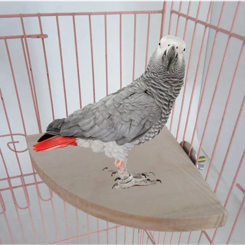 2018 font b Pet b font Toy Bird Parrot Wood Platform Stand Rack Toy Hamster Branch