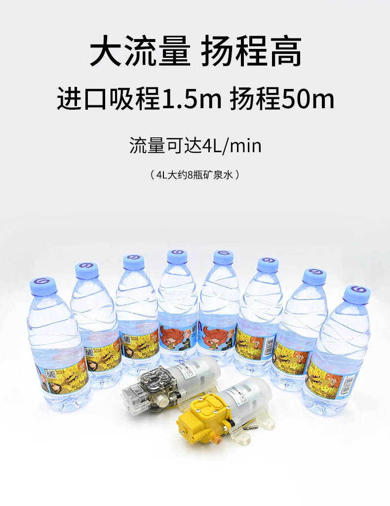 KLP40_04.jpg