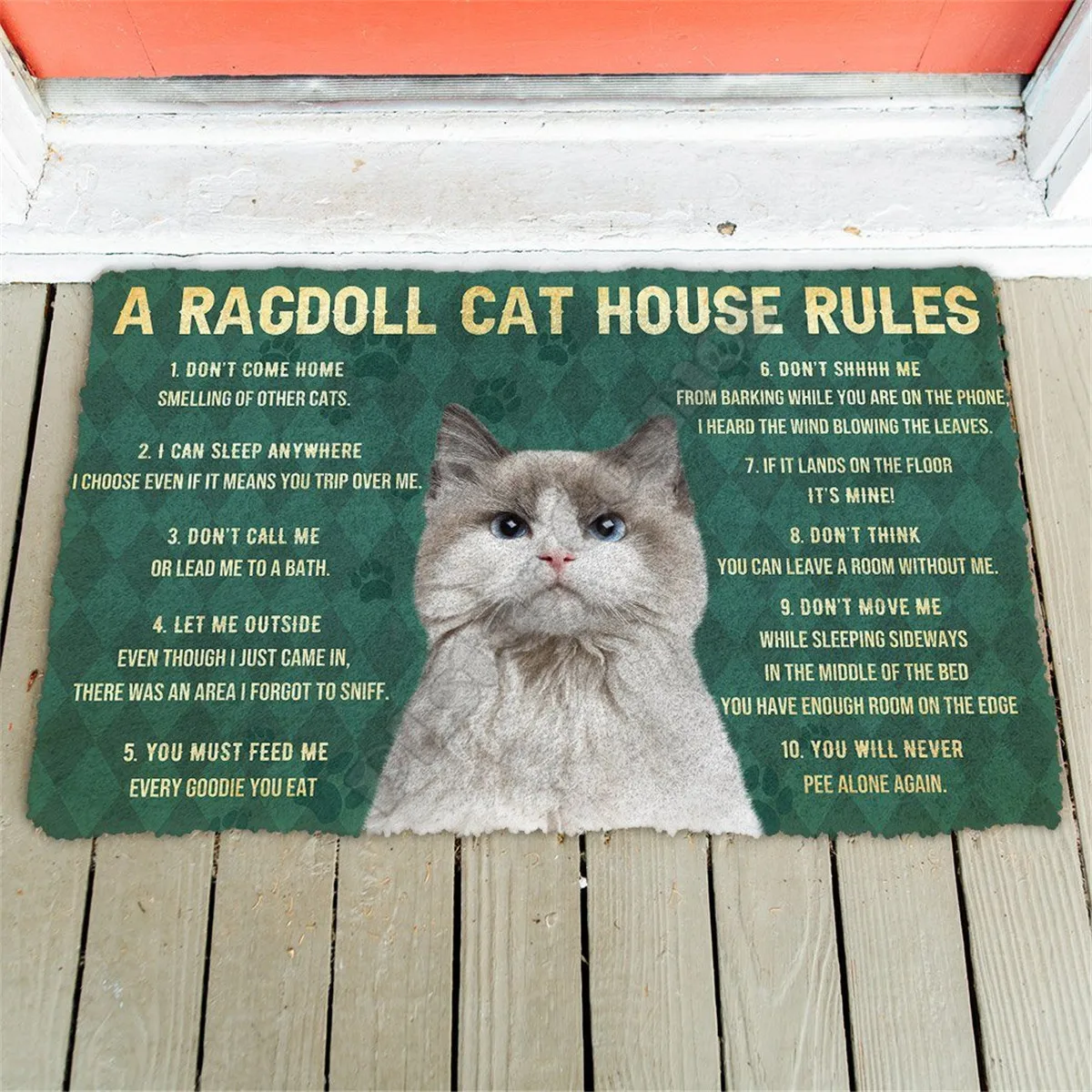 3D Дом правила Ragdoll кошка Дверной Коврик Нескользящие дверные напольные коврики