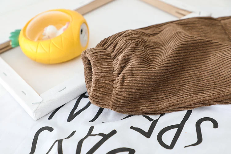HYLKIDHUOSE/Коллекция года, комплекты одежды для маленьких мальчиков и девочек комплекты одежды для малышей осенний плюшевый детский топ с капюшоном и штаны Детский костюм