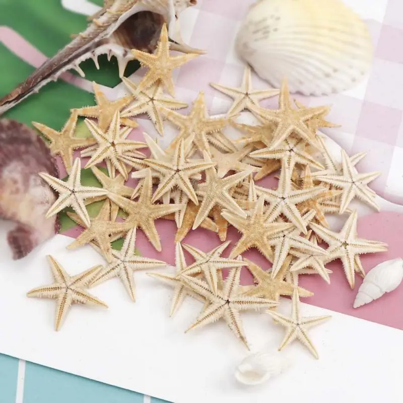 Natural Shell Ornaments 5/25/50pcs Mini Starfish Shell Craft Decoration Sea Stars DIY Beach Cottage Wedding Decor sea shells party sea conch