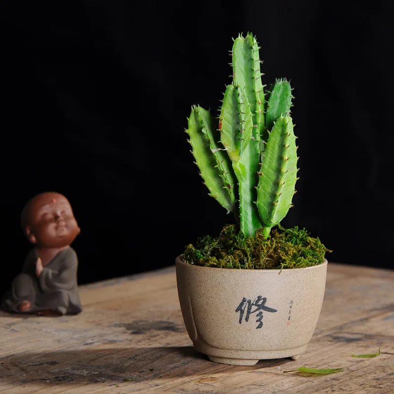 Succulent Succulent Flower Pot Creative Handmade Vintage Stone Pot - Цвет: C