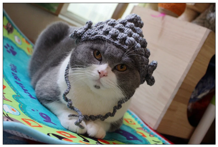 Шапка Будды, кошка, вязаная шапка, милый головной убор для домашних животных, товары для домашних животных, Забавный костюм фурри, модельная шапка для кошек, аксессуары
