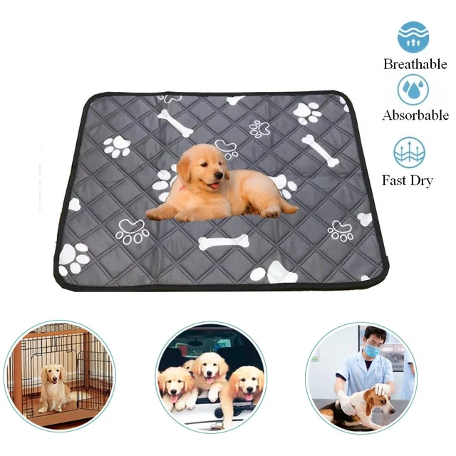 Dog Pee Pad Blanket Reusable Absorbent Diaper Washable Puppy Training Pad  Pet Bed Urine Mat Car Seat Cover For Pet - Dog Beds/mats - AliExpress